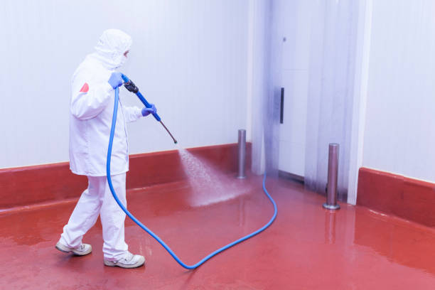 Best Post-Construction Pressure Washing  in Schoolcraft, MI